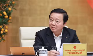 'Không hợp thức hóa những dự án vi phạm' khi xây dựng nghị định về lấn biển
