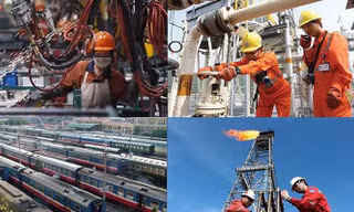 Quy định về từ chức, miễn nhiệm người đại diện vốn nhà nước tại doanh nghiệp