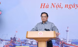 Thúc đẩy các giải pháp chấm dứt tình trạng khai thác hải sản bất hợp pháp