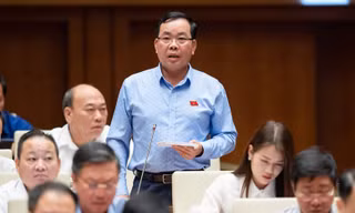 Bất cập dự án BOT: 'Chim sẻ mà hoang mang thì đại bàng cũng lo lắng'
