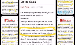 Bị lên án đạo văn, nữ tác giả Duyên Phùng thừa nhận bị nhiễm văn