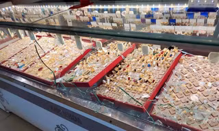 Công an truy tìm số trang sức bị cướp tiệm vàng ở Khánh Hòa