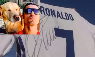 Cristiano Ronaldo rất yêu thương động vật.
