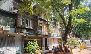 Nhà tập thể cũ giá cao nhưng vẫn được ‘săn đón’