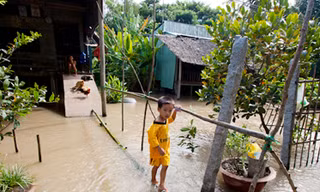 Chín người chết do bão lũ, hơn 300 nhà dân tốc mái