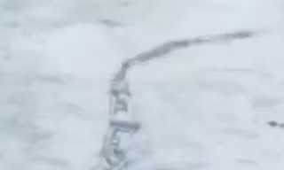 Quái vật khổng lồ bí ẩn tại Iceland