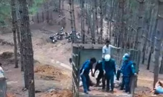 Kon Tum: Tiêu hủy hàng trăm con heo lở mồm long móng