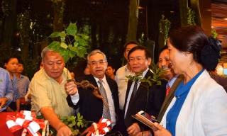 Lần đầu triển lãm sâm Ngọc Linh