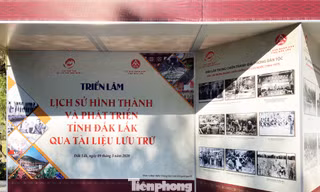 Triển lãm đầy sạn khiến công chúng phiền lòng