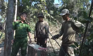 Công an liên tục phát hiện các vụ phá hoại rừng ở huyện Ea Kar