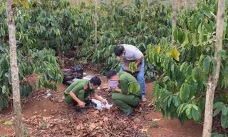 Công an khám nghiệm hiện trường
