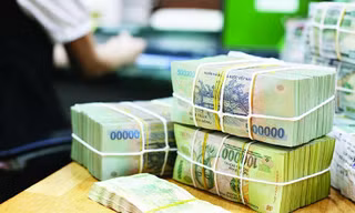 Truy tố nữ giám đốc lừa chiếm đoạt hơn 8 tỷ đồng của 'đối tác'