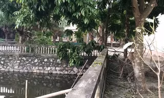 Khu vực ao nước, nơi phát hiện thi thể ông Trần Văn Phú - Ảnh: Hoàng Long