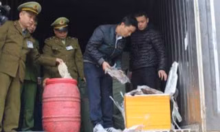 Lực lượng chức năng đang kiểm tra, kiểm đếm số hàng nội tạng động vật .Ảnh: Nông Tùng