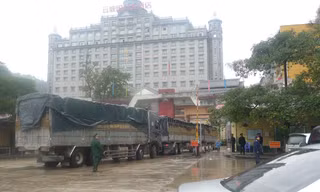 Mỗi ngày có khoảng trên 2000 tấn thanh long xuất bán sang Pò Chài (Trung Quốc) *ảnh: Duy Chiến
