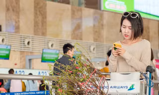 'Cháy' vé gần 11.400 chuyến bay Tết 