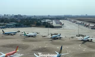 Sân bay Tân Sơn Nhất quá tải ban ngày, tăng chuyến đêm 'cứu' khách dịp Tết