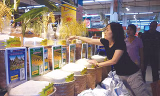 Gạo Thái Lan nhập khẩu tại siêu thị vẫn được nhiều bà nội trợ lựa chọn. Ảnh: Phạm Anh