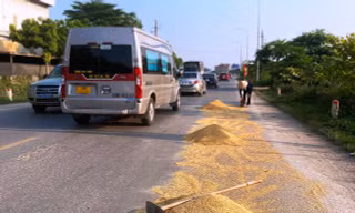 Mùa gặt về, thóc lại đầy quốc lộ, đồng ruộng bắt đầu hun khói 