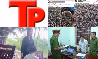 Bản tin Hình sự: Tìm kiếm thiếu nữ mất liên lạc với gia đình gần 20 ngày