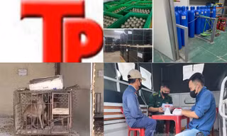 Bản tin Hình sự: Người nhà chú rể đòi lột đồ hai cô gái vì nghi trộm tiền