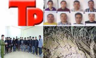 Bản tin Hình sự: Công an truy tìm lái xe ô tô trong vụ tai nạn chết người trên quốc lộ