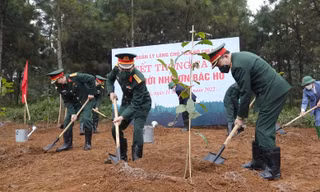 Phát động Tết trồng cây nhớ ơn Bác Hồ tại Khu di tích K9 - Đá Chông