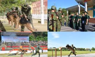 Chó nghiệp vụ Biên phòng Việt Nam sẽ thi tài tại Army Games 2020