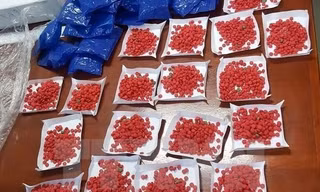 Hai vợ chồng dùng ô tô vận chuyển hơn nghìn viên ma túy