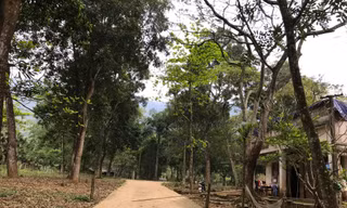Cảnh hoang tàn của khu du lịch Suối Ngọc - Vua Bà 
