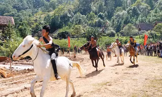 Đua ngựa không yên trên cao nguyên