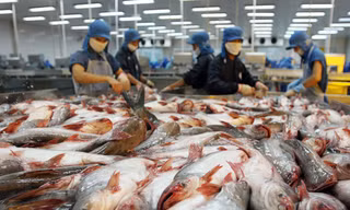 Các doanh nghiệp sản xuất hàng xuất khẩu cần được hỗ trợ về vốn vay Ảnh: H.V