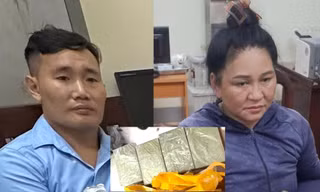Bắt đối tượng vận chuyển ma tuý giấu trong thùng xốp đựng táo mèo