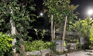 Ba cháu nhỏ trong một gia đình chết đuối dưới ao nhà hàng xóm