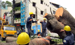 Lãnh đạo TP HCM đồng ý để Sở Lao động - Thương binh và Xã hội cung cấp hồ sơ, tài liệu liên quan đến sai phạm tại 4 công ty Công ích cho Công an TP HCM để cơ quan này điều tra theo quy định