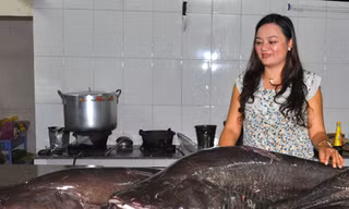 Câu được nhiều cá leo khổng lồ trên sông Sêrêpôk