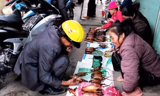 Chợ chuột đồng Cổ Dũng. Ảnh: Giang Chinh