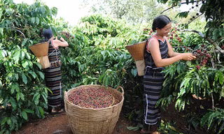 Nestlé khẳng định cam kết thúc đẩy trao quyền cho phụ nữ