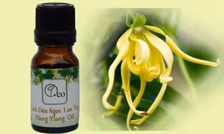 11 loại tinh dầu tăng hưng phấn tình dục