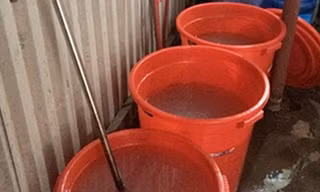 Cảnh sát đột kích điểm tự chế gel siêu âm giá 10.000 đồng một lít