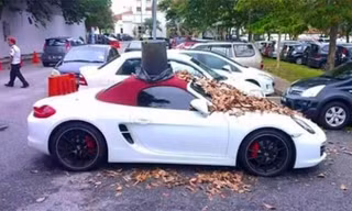 Chiếc Porsche bị đổ đầy lá khô và chụp thùng rác lên nóc. Ảnh: Paultan.