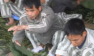 Một buổi lao động tại nhà ăn trong phân trại 1 trại giam Phú Sơn. Ảnh: Việt Dũng.