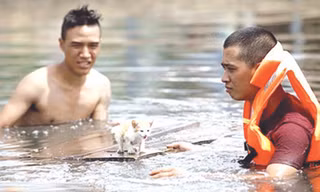 Hình ảnh chú mèo con bị đồn đã chết trong phim “Vừa đi vừa khóc”. Ảnh: Gia Đình và Xã Hội