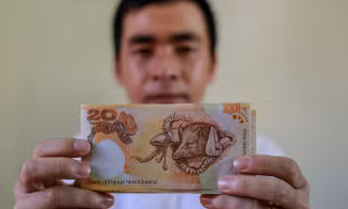 Săn lùng tiền lì xì in hình con heo