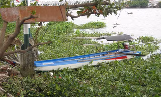 Khu vực phát hiện thi thể 