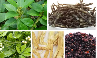 7 vị thuốc hỗ trợ điều trị tiểu đường trong y học cổ truyền