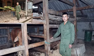 Mất đi hai bậc sinh thành, nhưng chàng trai Hồ Quốc Hạnh không gục ngã. Một mình em đã cáng đáng mọi công việc của bố mẹ để lại, nuôi bà và 3 đứa em có cái ăn, không phải bỏ học giữa chừng. Ảnh: Vũ Trọng Hoài.
