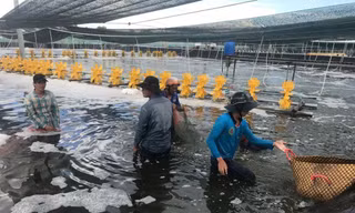 Bà Phạm Thị Ngọc Quỳnh, người đưa MC Fish Việt Nam vượt biển
