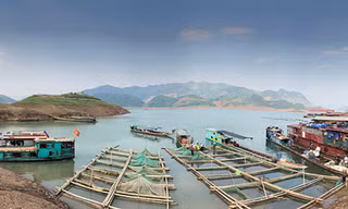 Nhiều loài cá đặc sản ở chợ đầu mối trên núi
