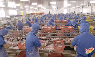 Khung cảnh nhộn nhịp của hàng ngàn công nhân trong nhà máy IDI đang miệt mài thi đua sản xuất